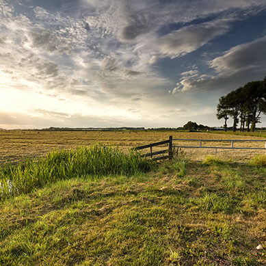 sunlight over Dutch farmland in summer, Netherlands